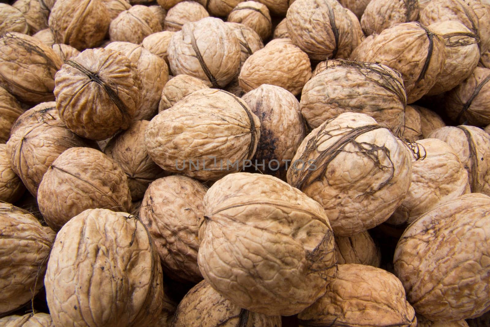 Walnut