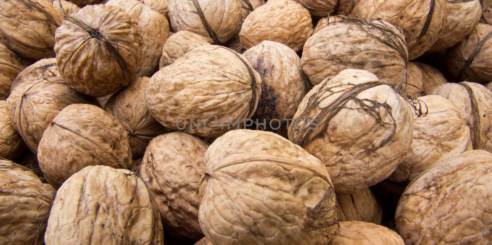 Walnut