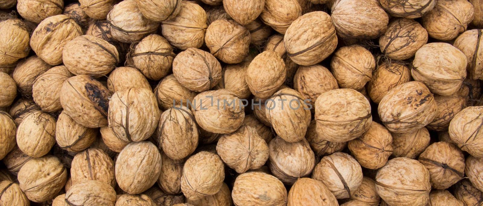 Walnut