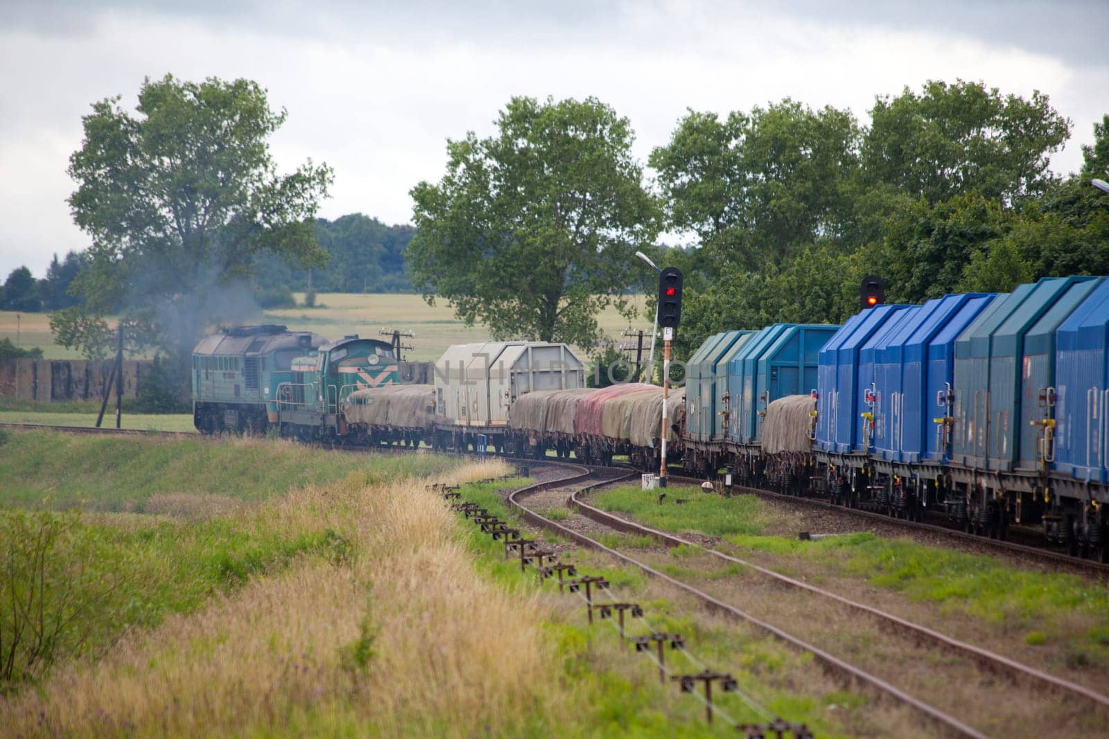 Freight train hauled by the diesel locomotive passing the station