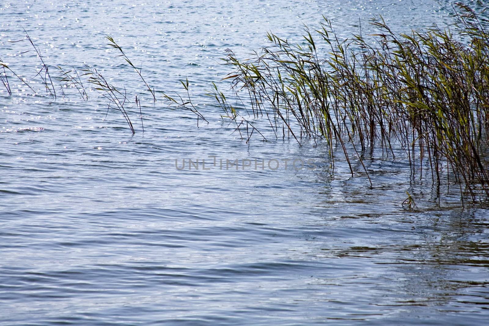 gentle splashing