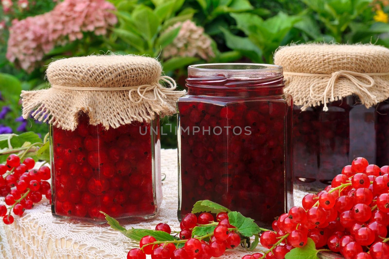 Jars of homemade red currant jam with fresh fruits