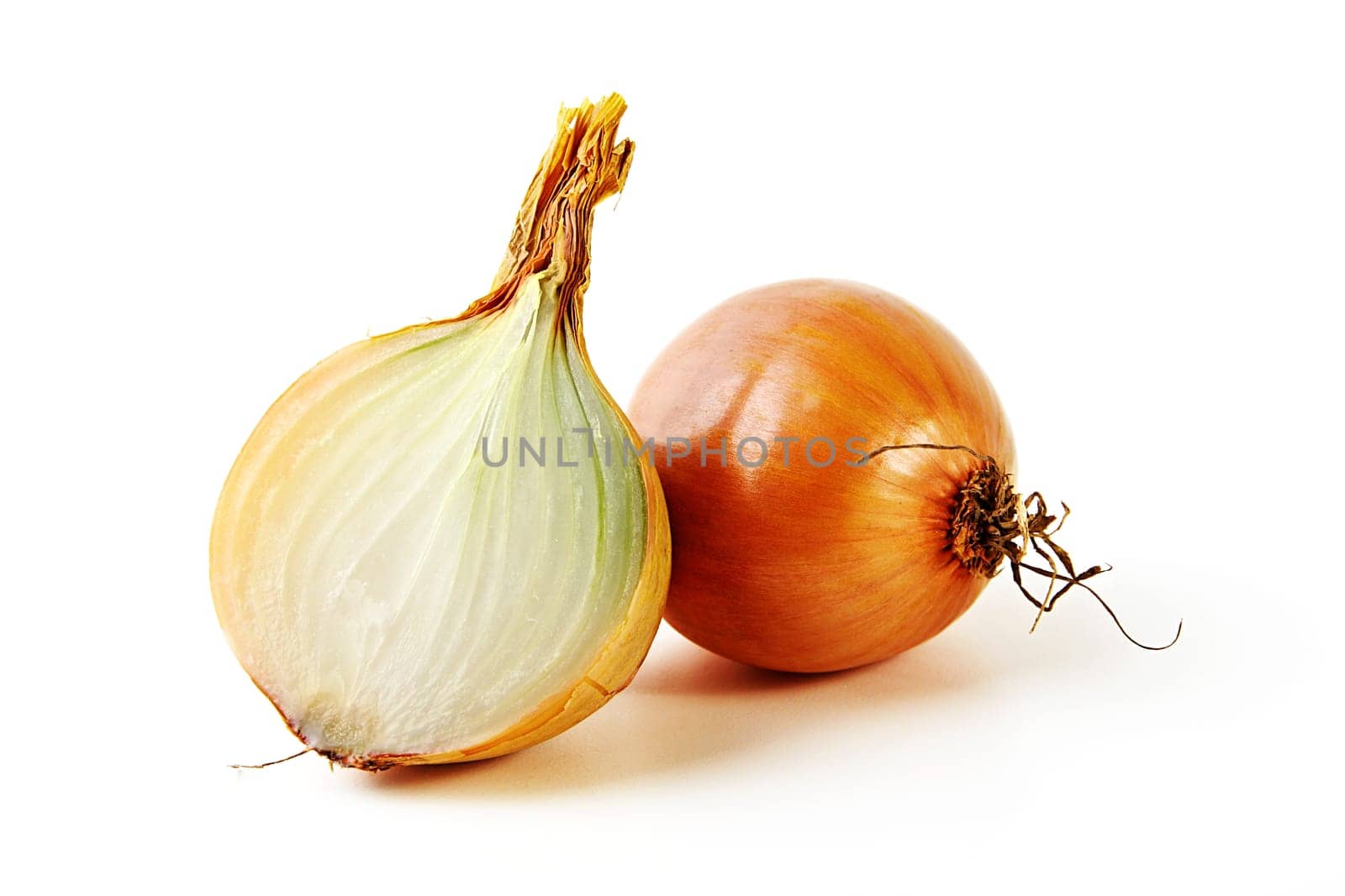 Onion with tile half isolated against white background