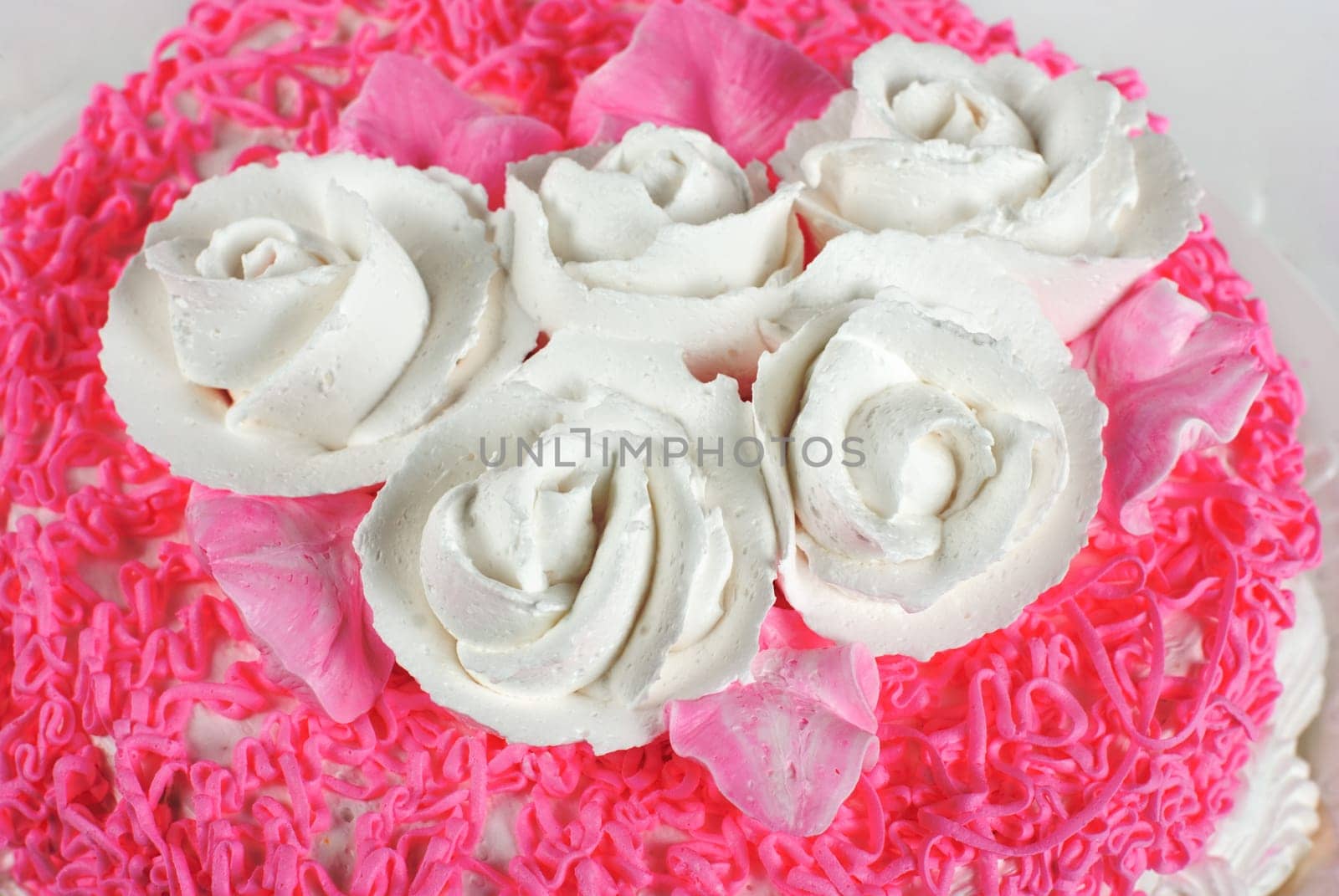 cream cake isolated on a white background