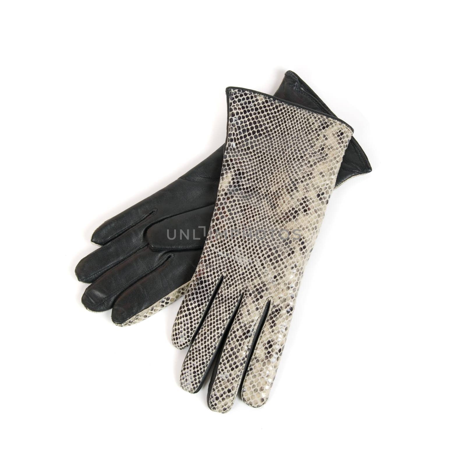 Grey modern female leather gloves isolated on a white
