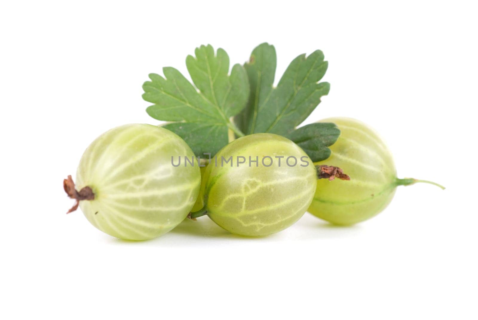 green ripe gooseberries isolated on a white background