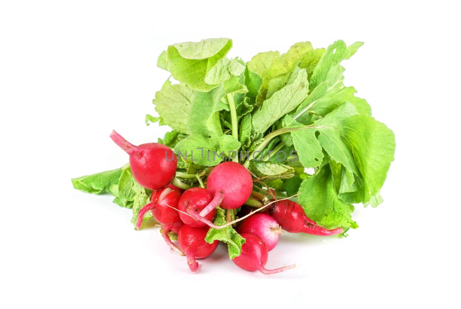 Fresh radishes isolated on white background