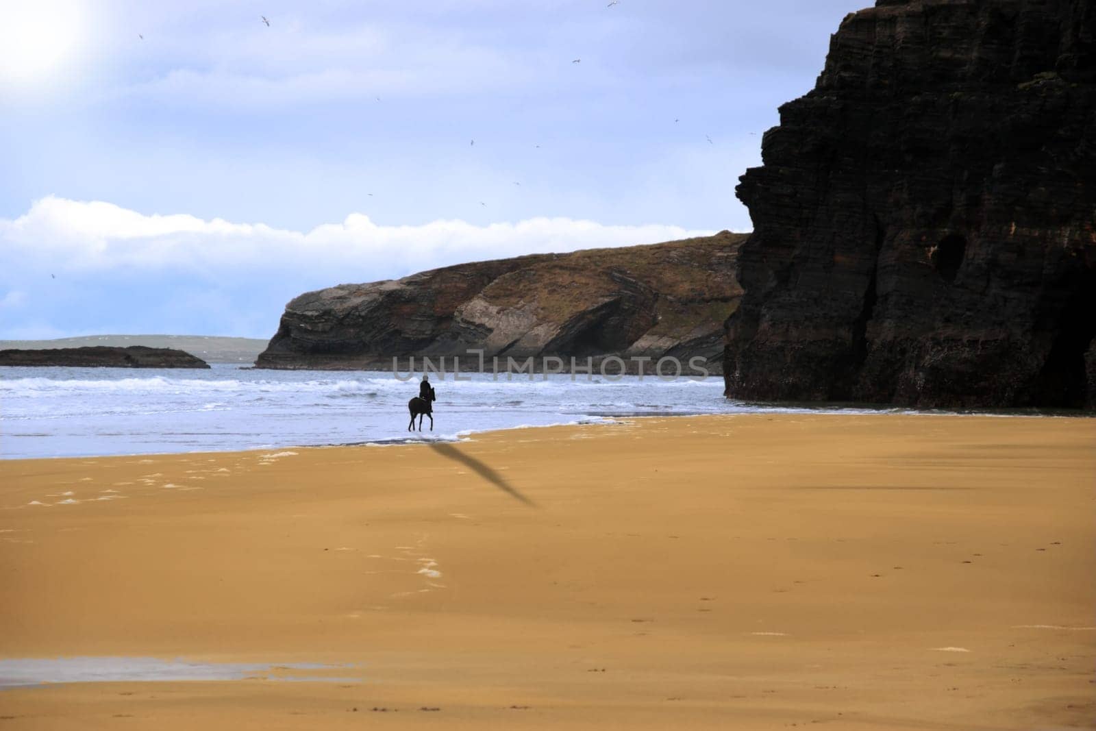 silhouette of a horse and rider galloping on ballybunion beach with cliffs at sunset in kerry ireland