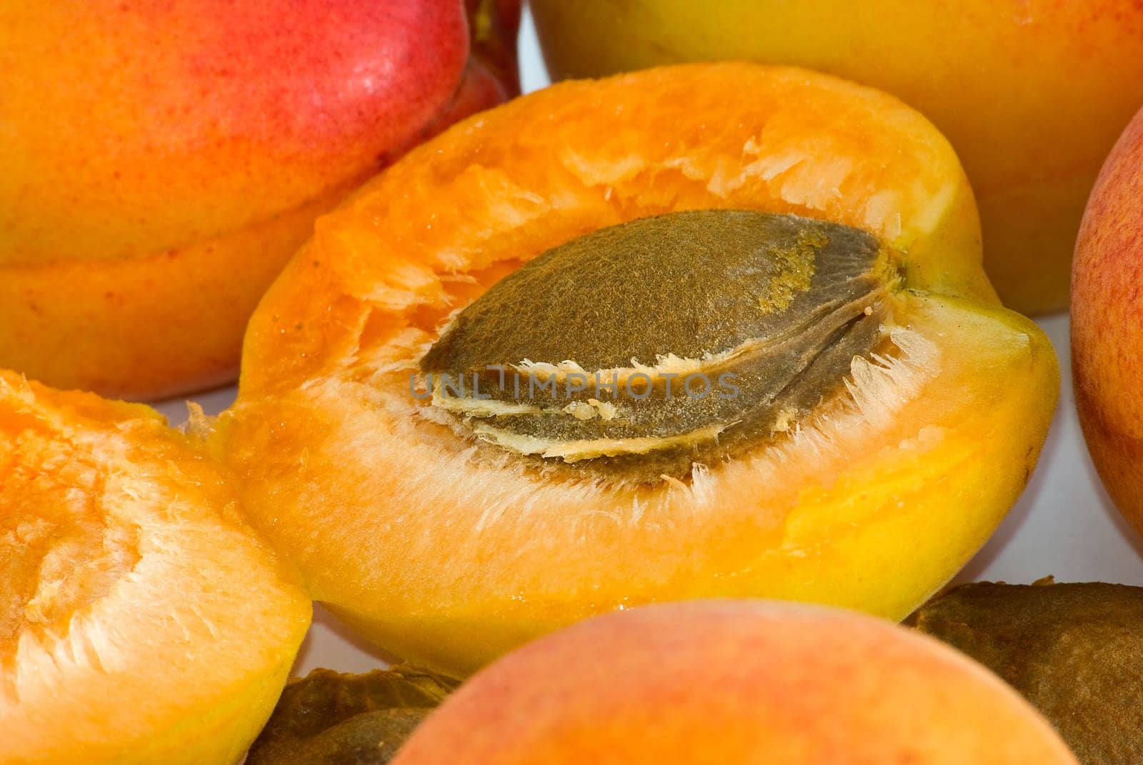 Apricot nucleus are photographed close-up
