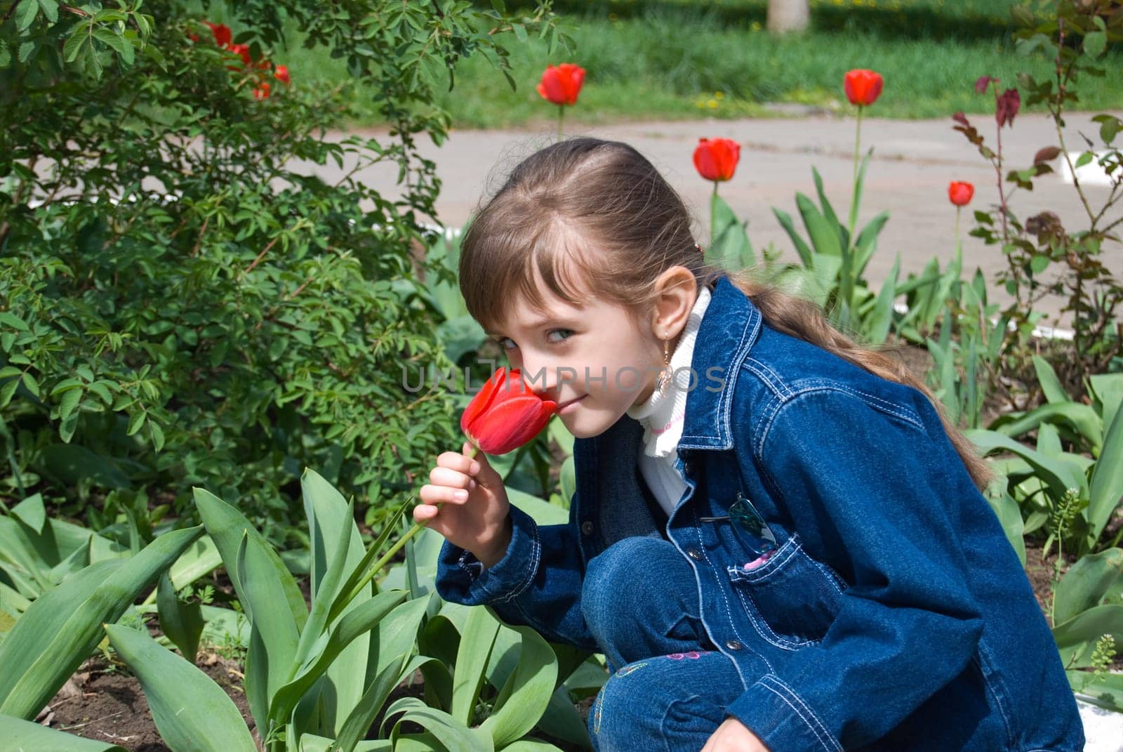 The girl smells a flower of a tulip