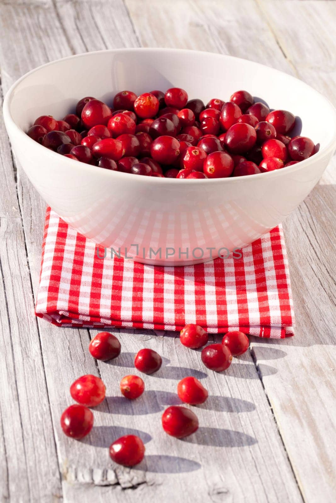 Cranberries in a bowl