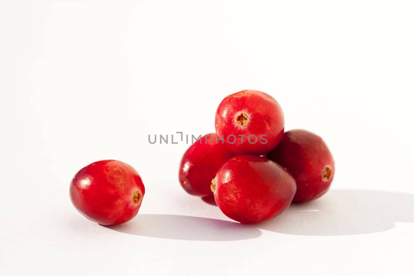 Cranberries on white background