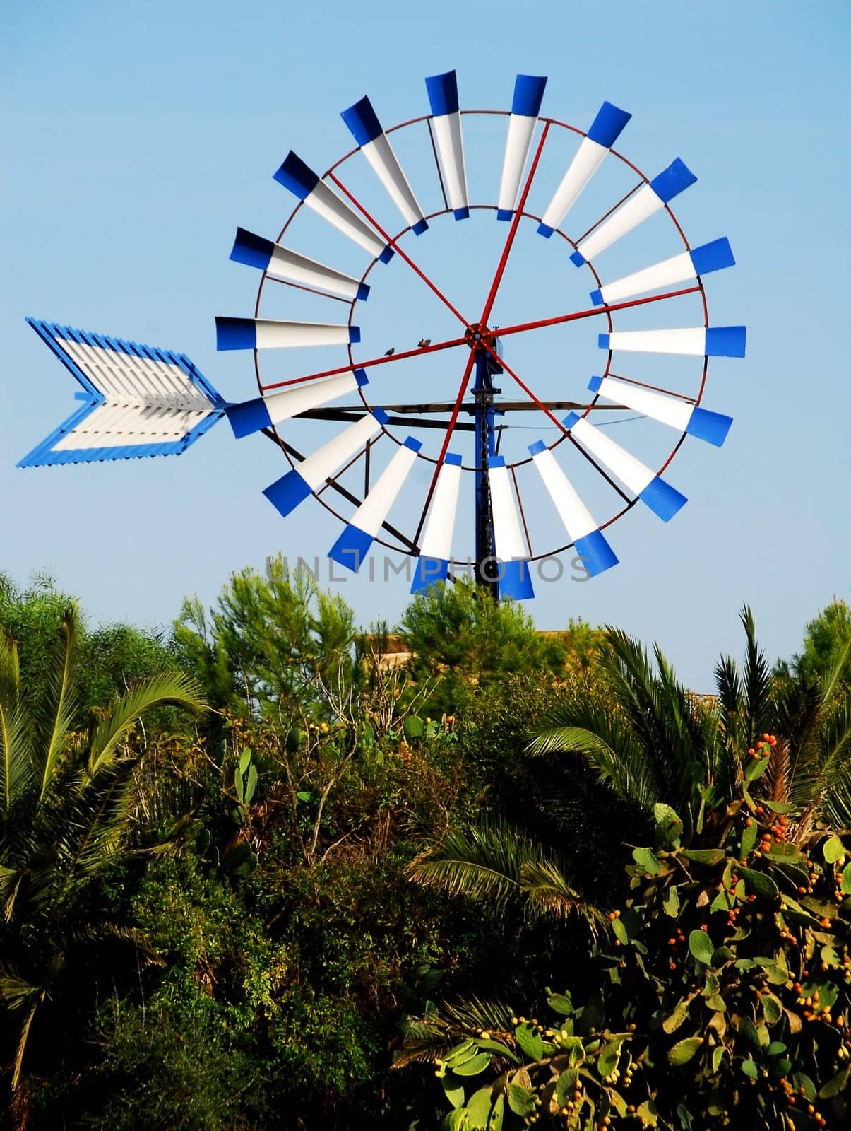 The windmill