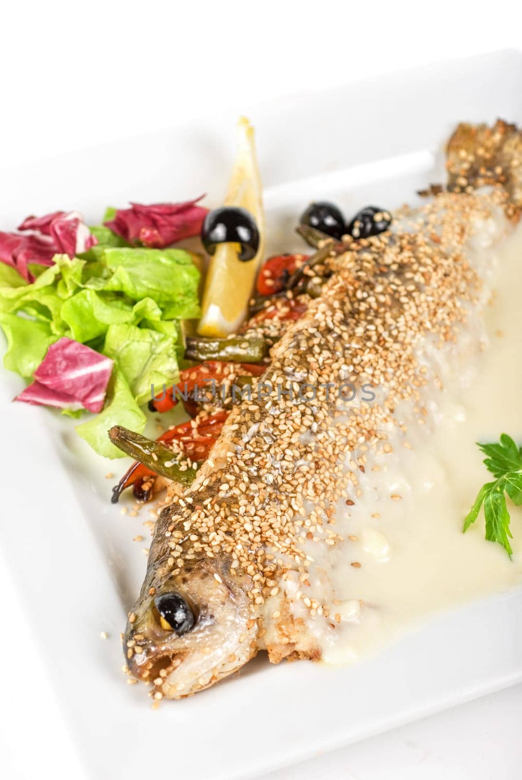 trout fish baked with greens closeup