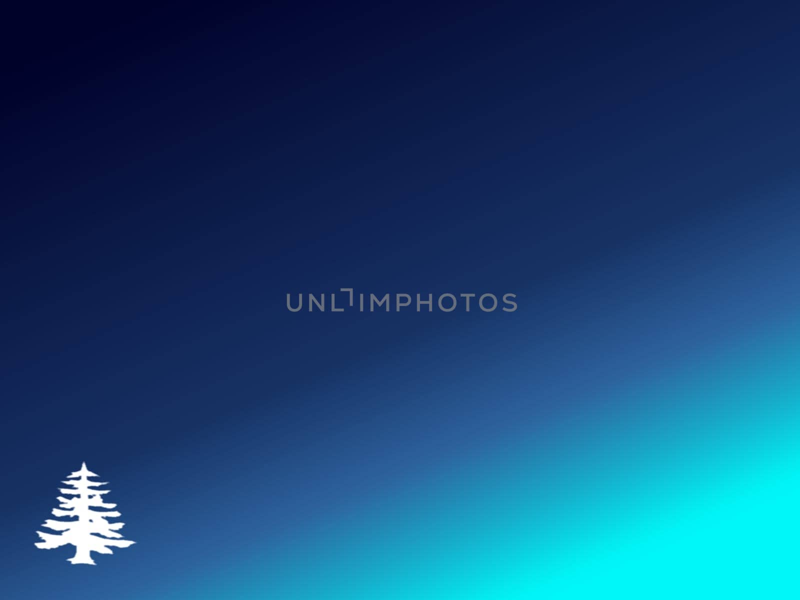 Christmas tree traditional without isolated without background