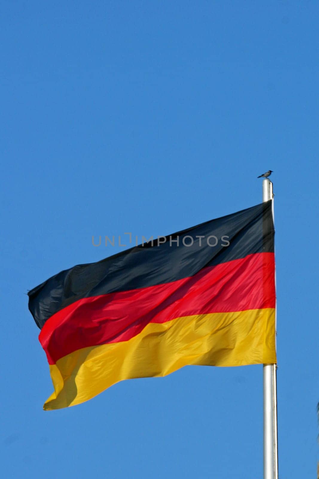 Flag - Federal Republic of Germany