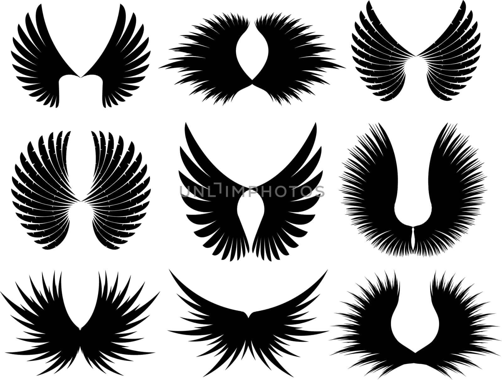 Various different designs of wing silhoeuttes