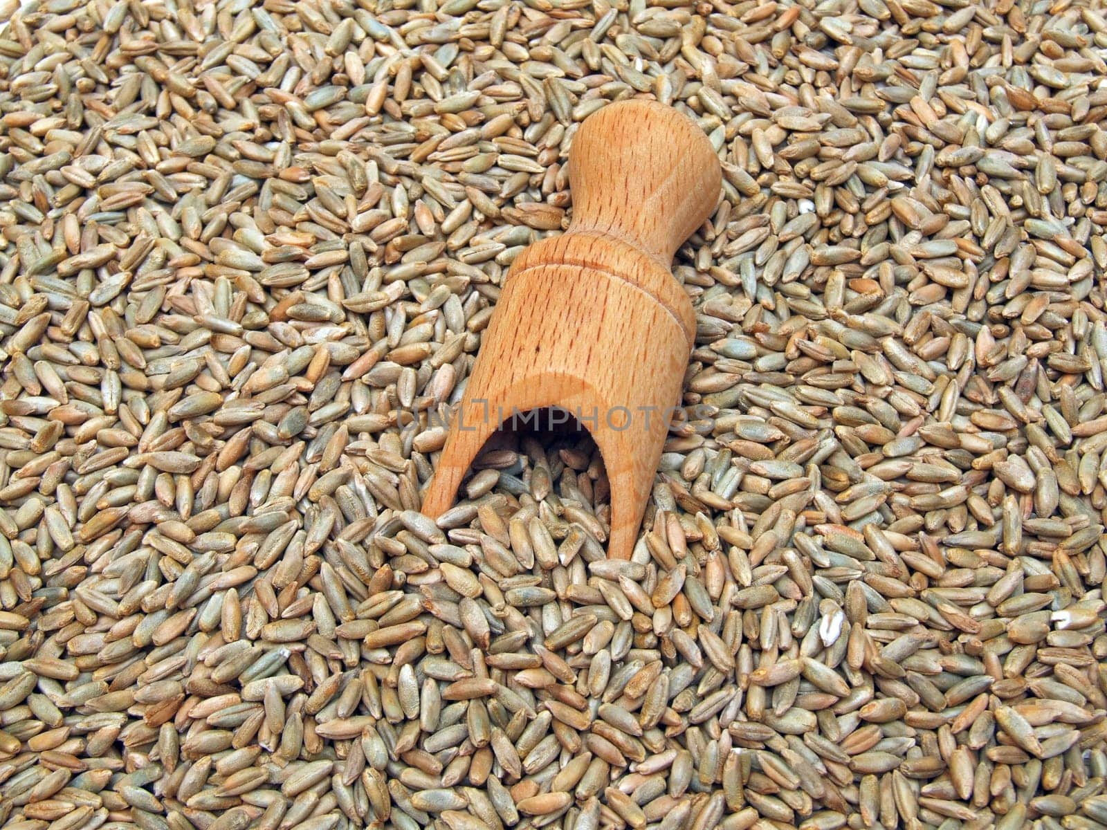 some rye