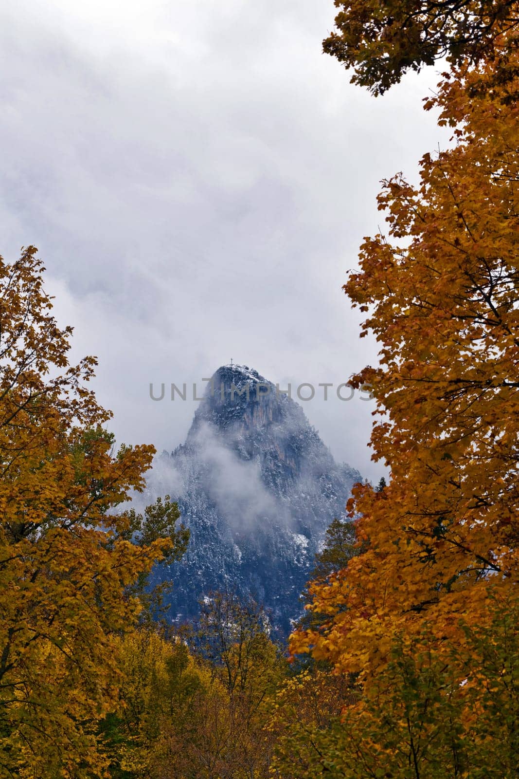 Autumnal mood with snow