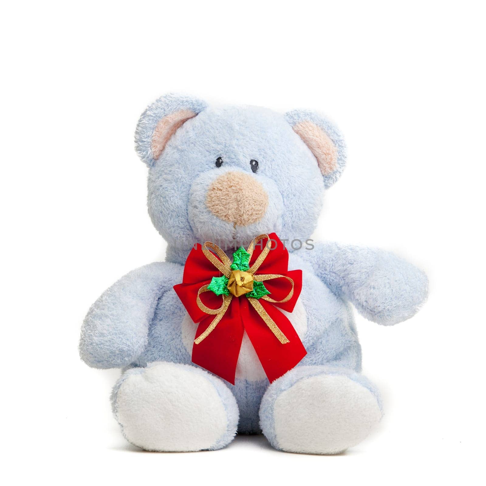 Teddy bear . Isolated over white background