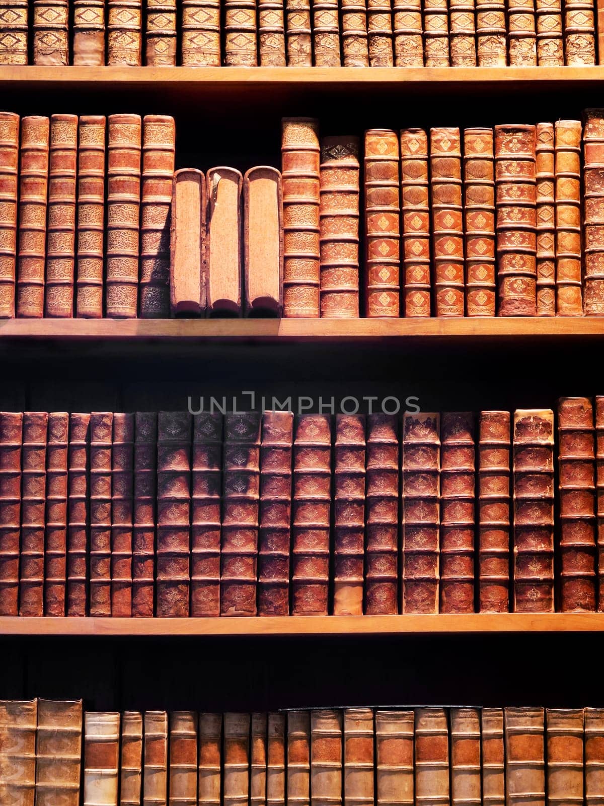 Bookshelf Antiquarian bookshop,collection of old reference works