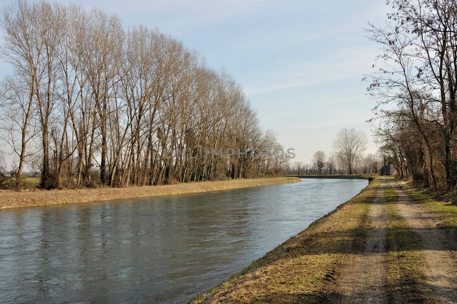foreshortening of important artificial canal in winter country , shot in bright light on lombardy plains