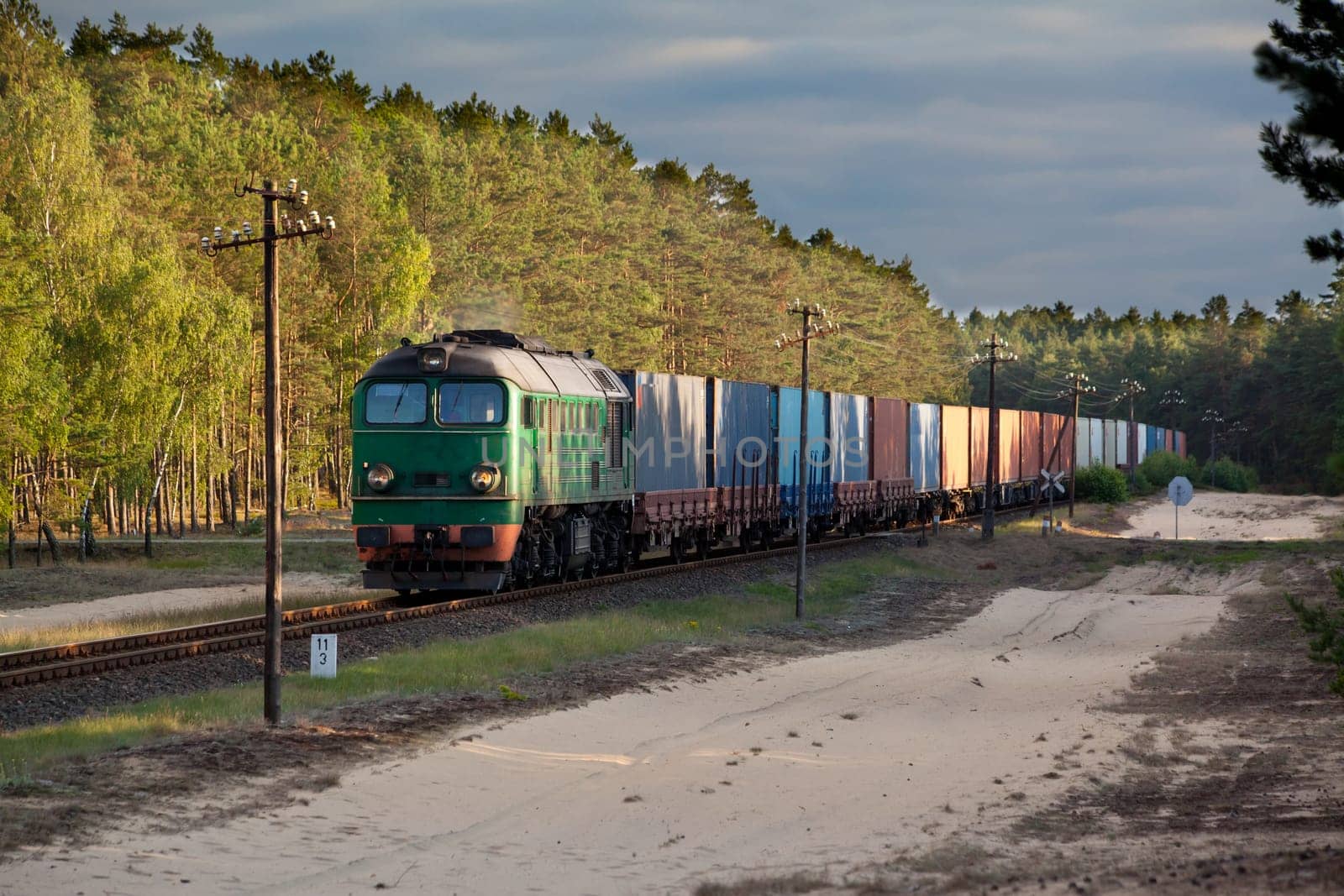 Freight train hauled by the diesel locomotive passing the forest