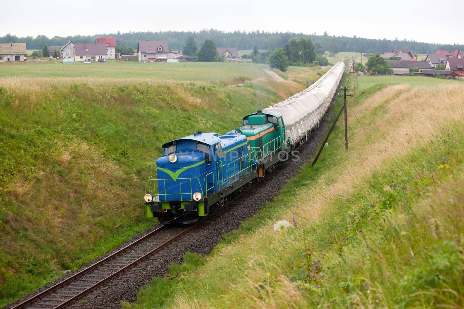 Freight train hauled by the diesel locomotives passing the forest