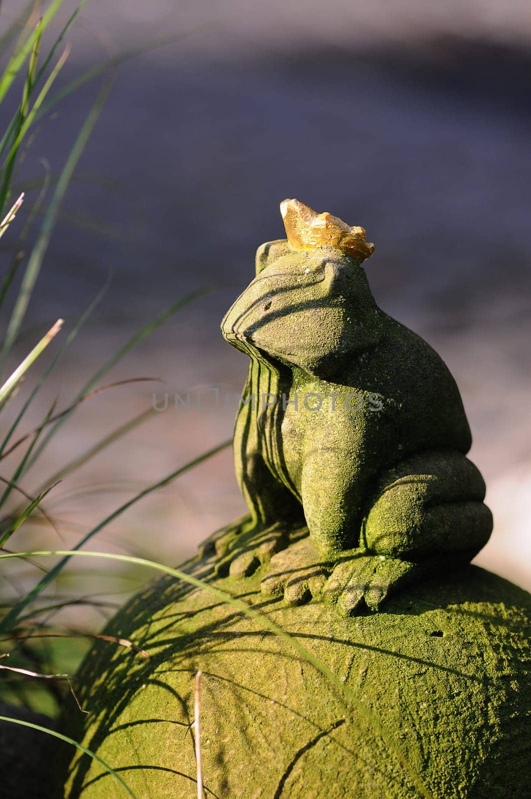 Frog Prince