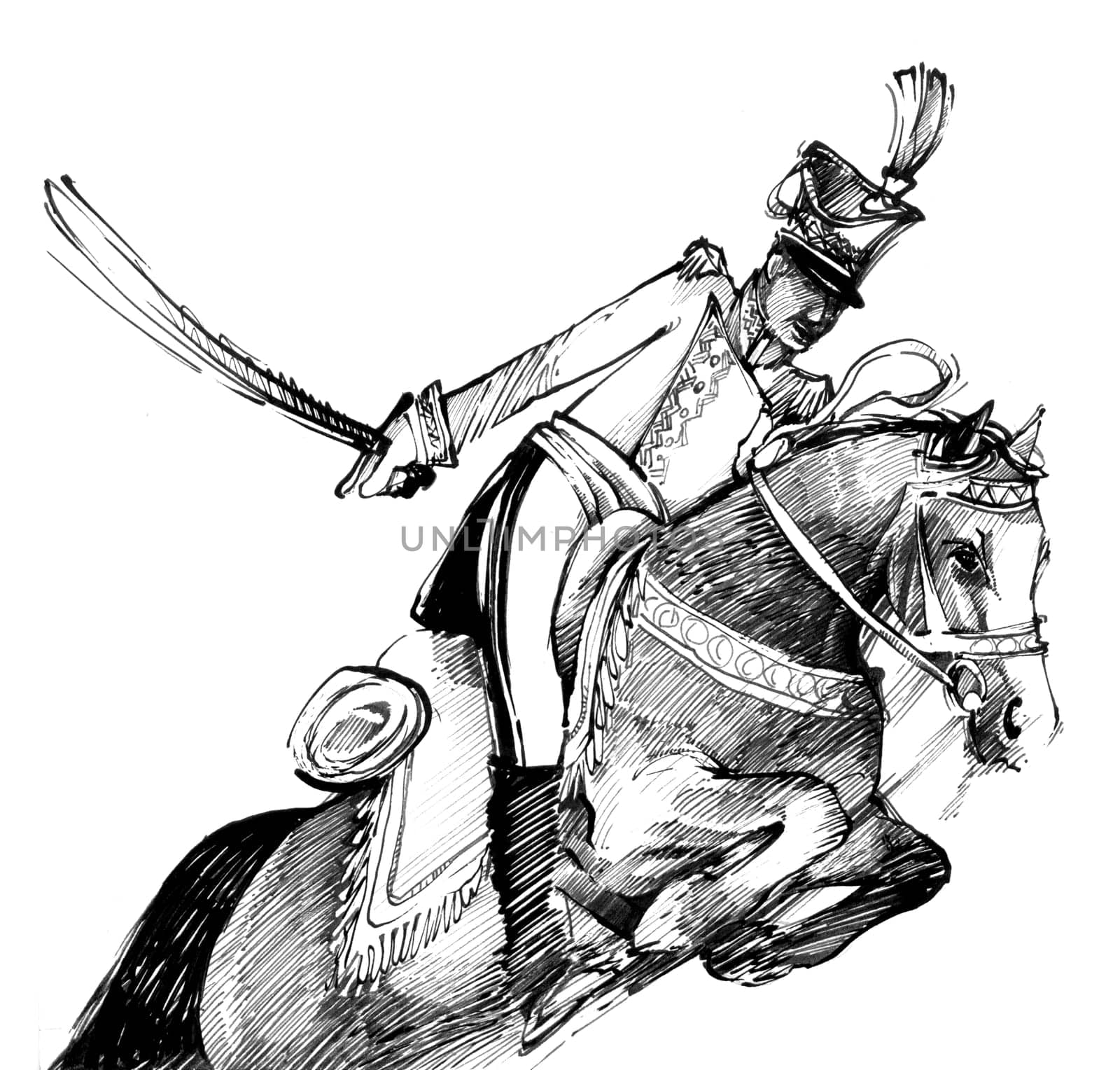 drawing illustration of hussar with sword on the horse
