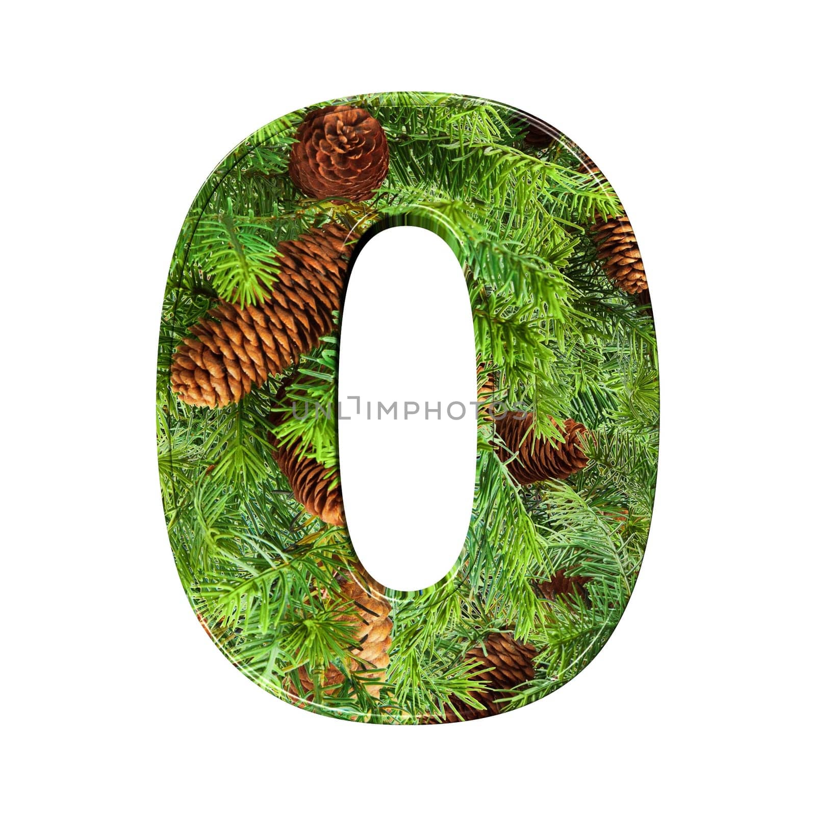 Pine Cone Alphabet isolatet on white