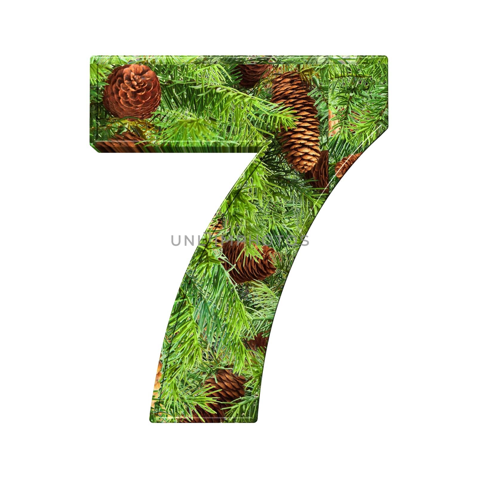 Pine Cone Alphabet isolatet on white