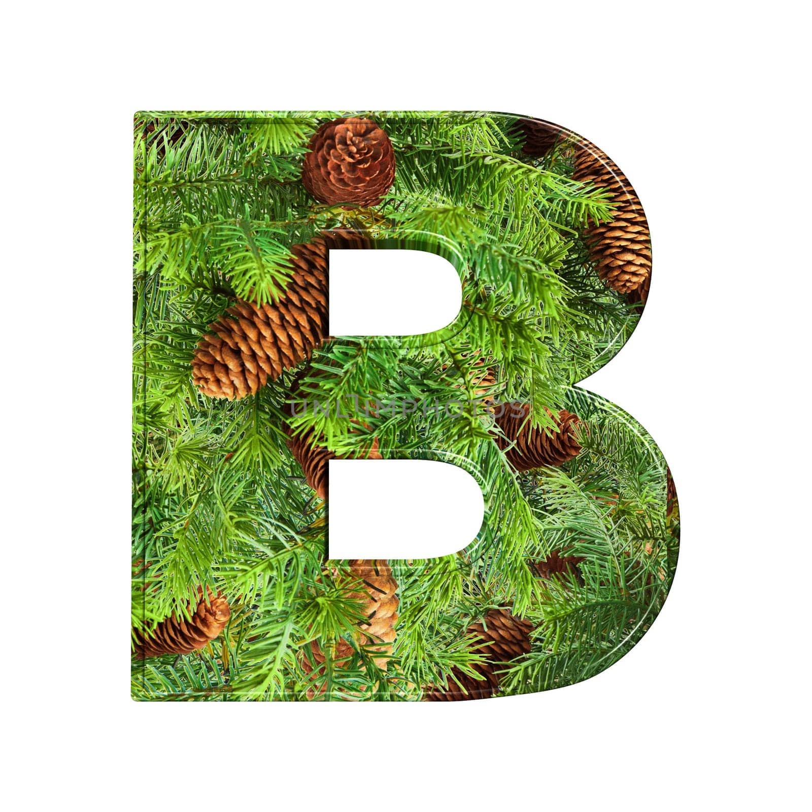 Pine Cone Alphabet isolatet on white