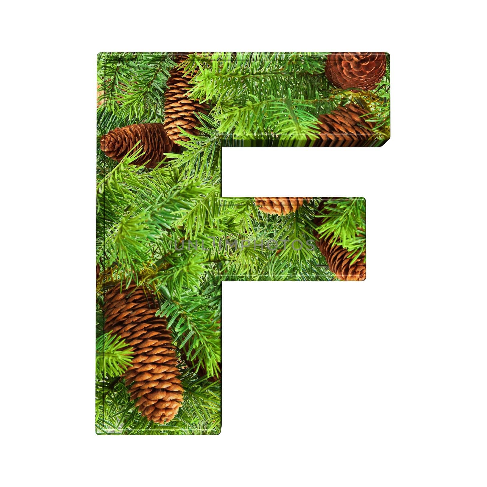Pine Cone Alphabet isolatet on white