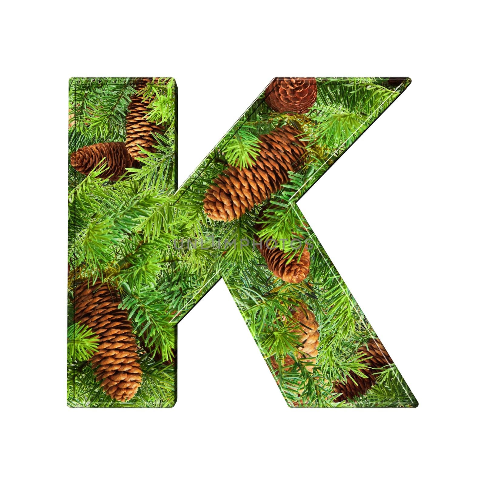 Pine Cone Alphabet isolatet on white