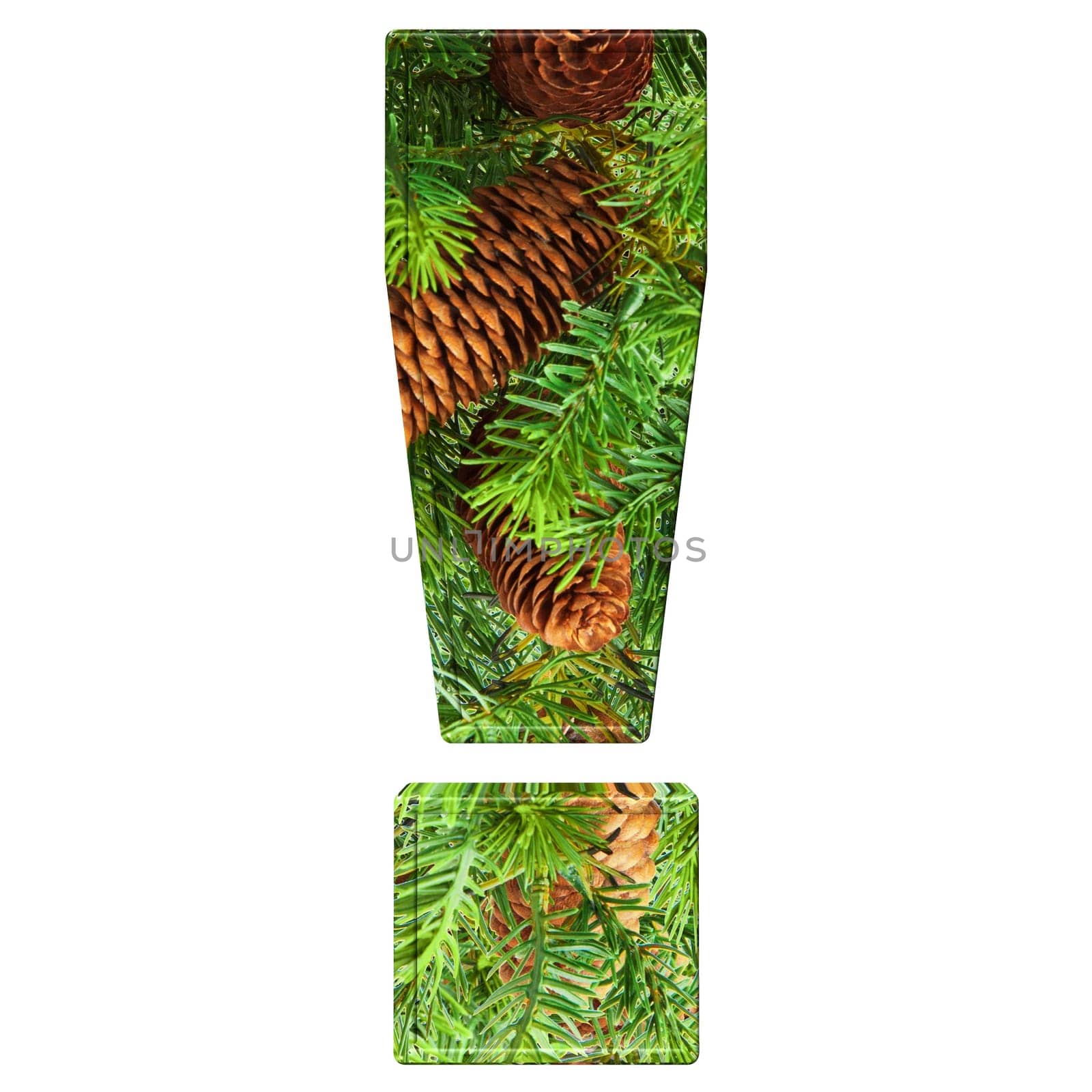 Pine Cone Alphabet isolatet on white