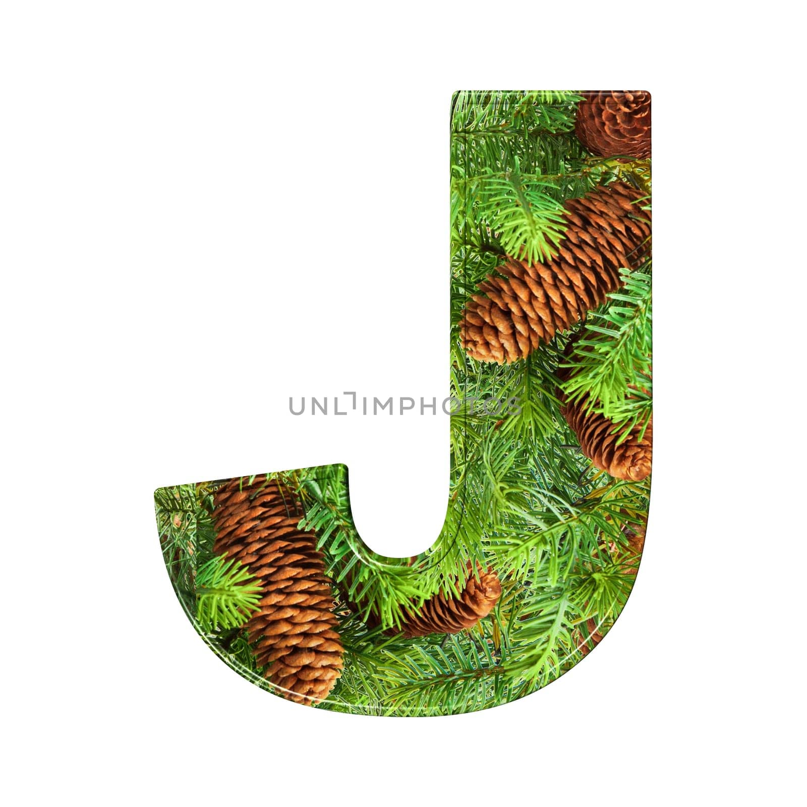 Pine Cone Alphabet isolatet on white