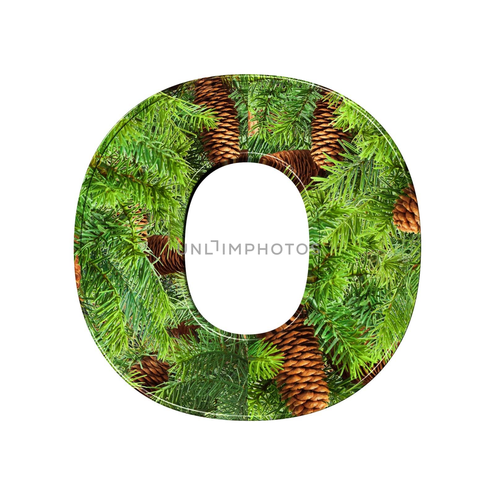 Pine Cone Alphabet isolatet on white