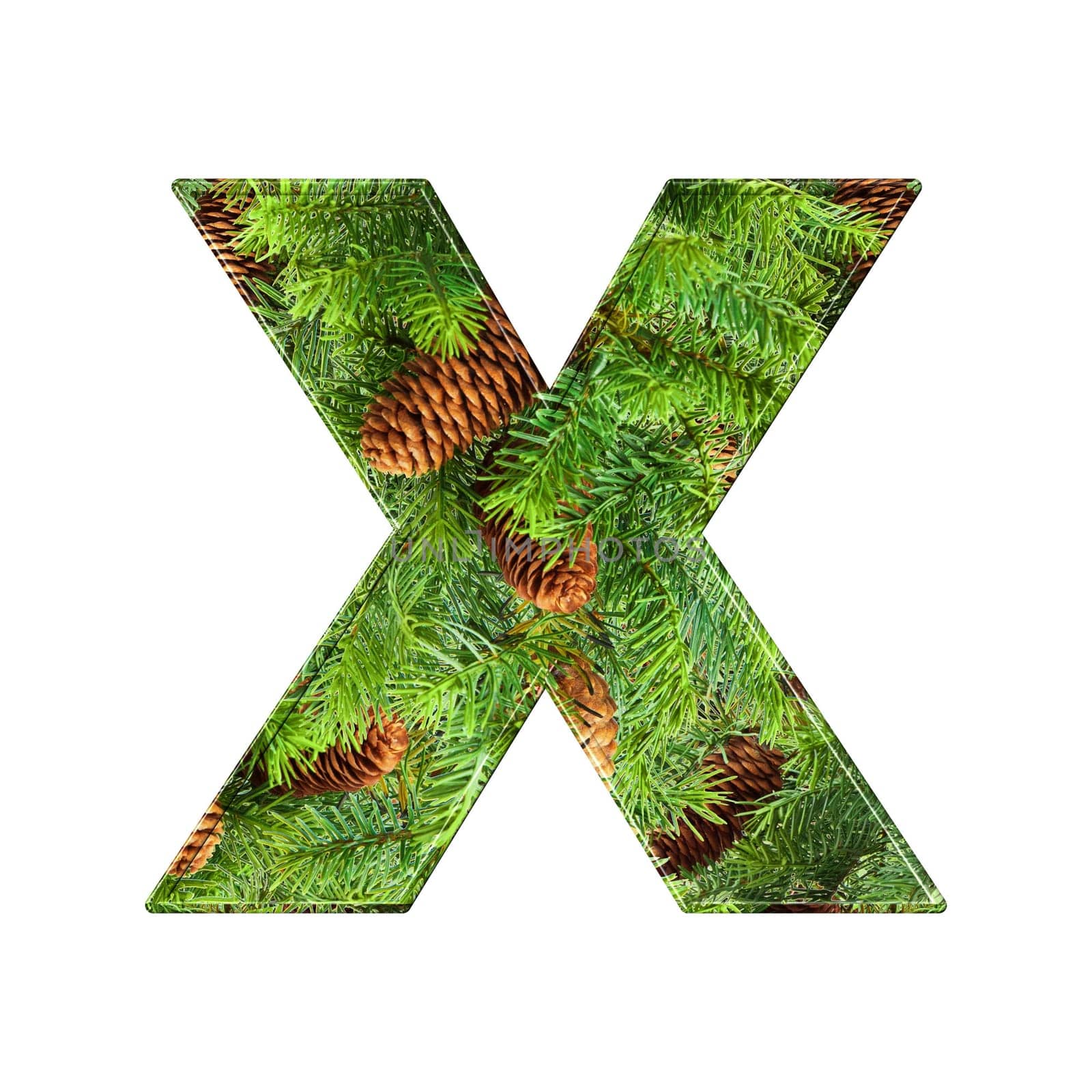 Pine Cone Alphabet isolatet on white