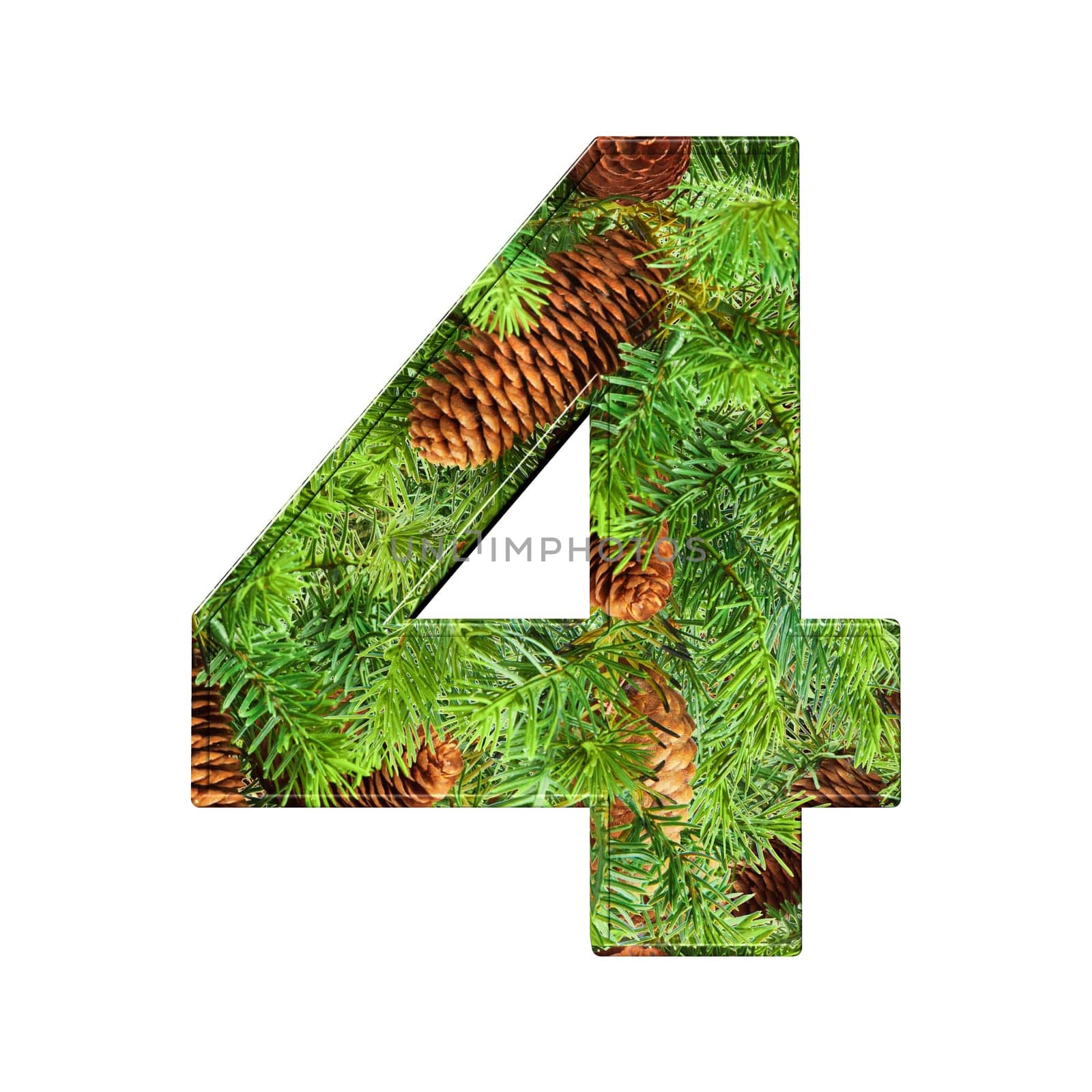 Pine Cone Alphabet isolatet on white