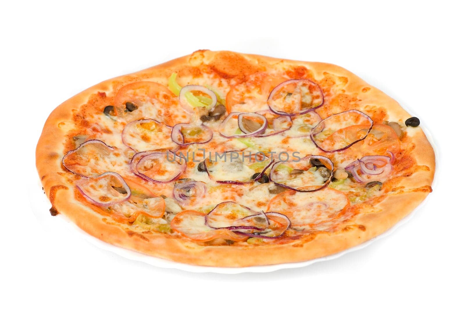 vegetable pizza closeup with tomato, Bulgarian pepper, onion, olive, champignons and mozzarella cheese