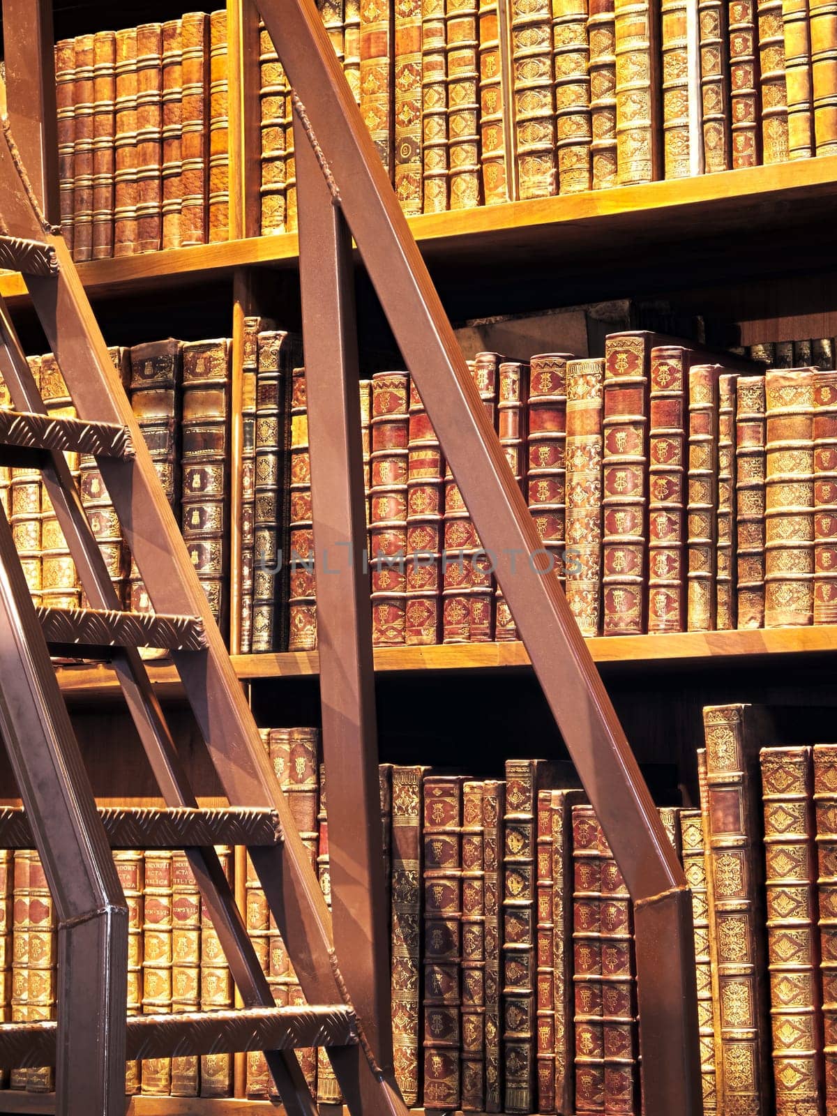 Bookshelf Antiquarian bookshop,collection of old reference works