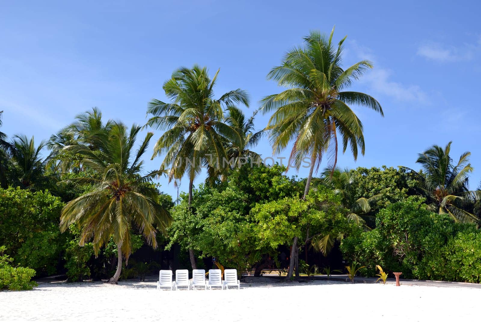 Maldives