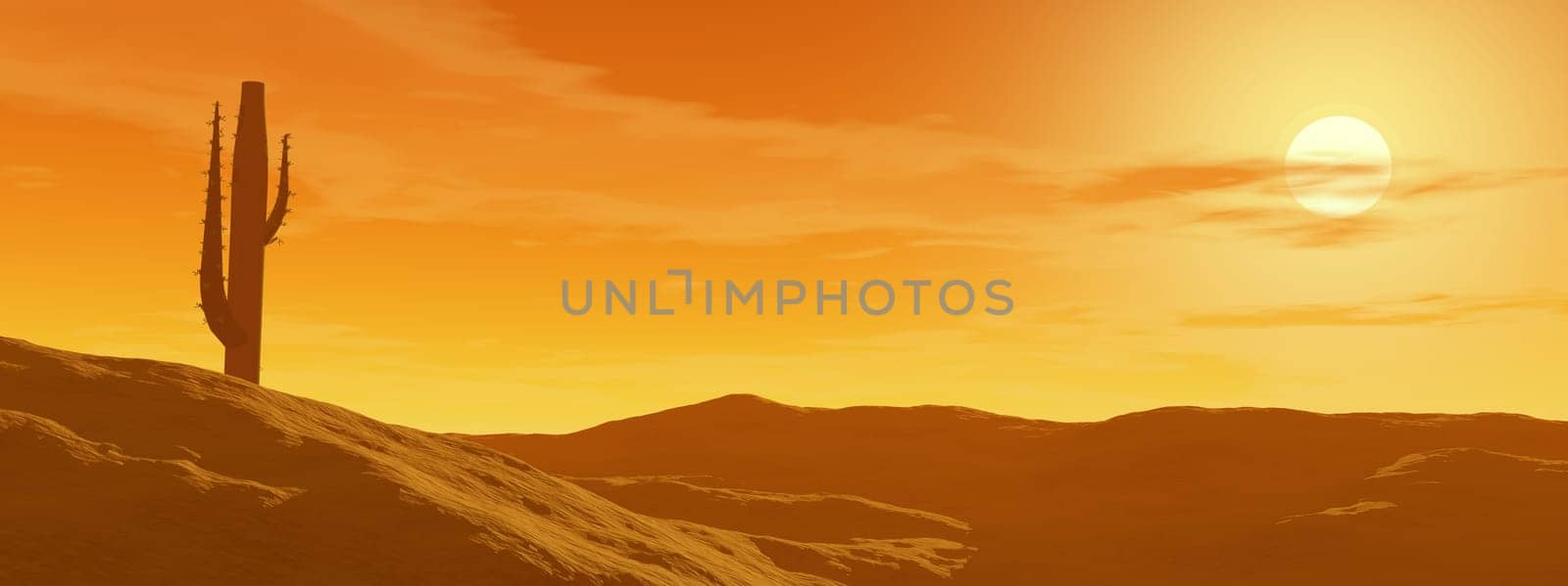 Cactus in the desert by cloudy sunset