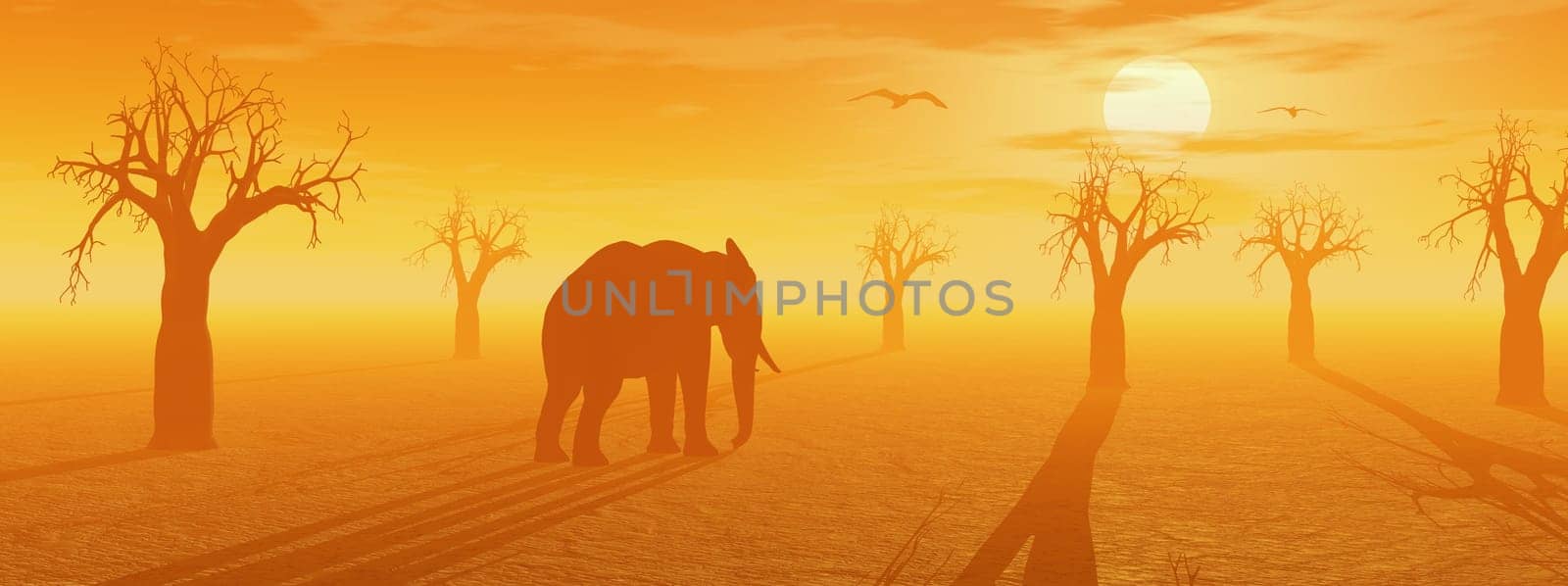 Desert with lots of baobab trees, birds and elephant by sunset