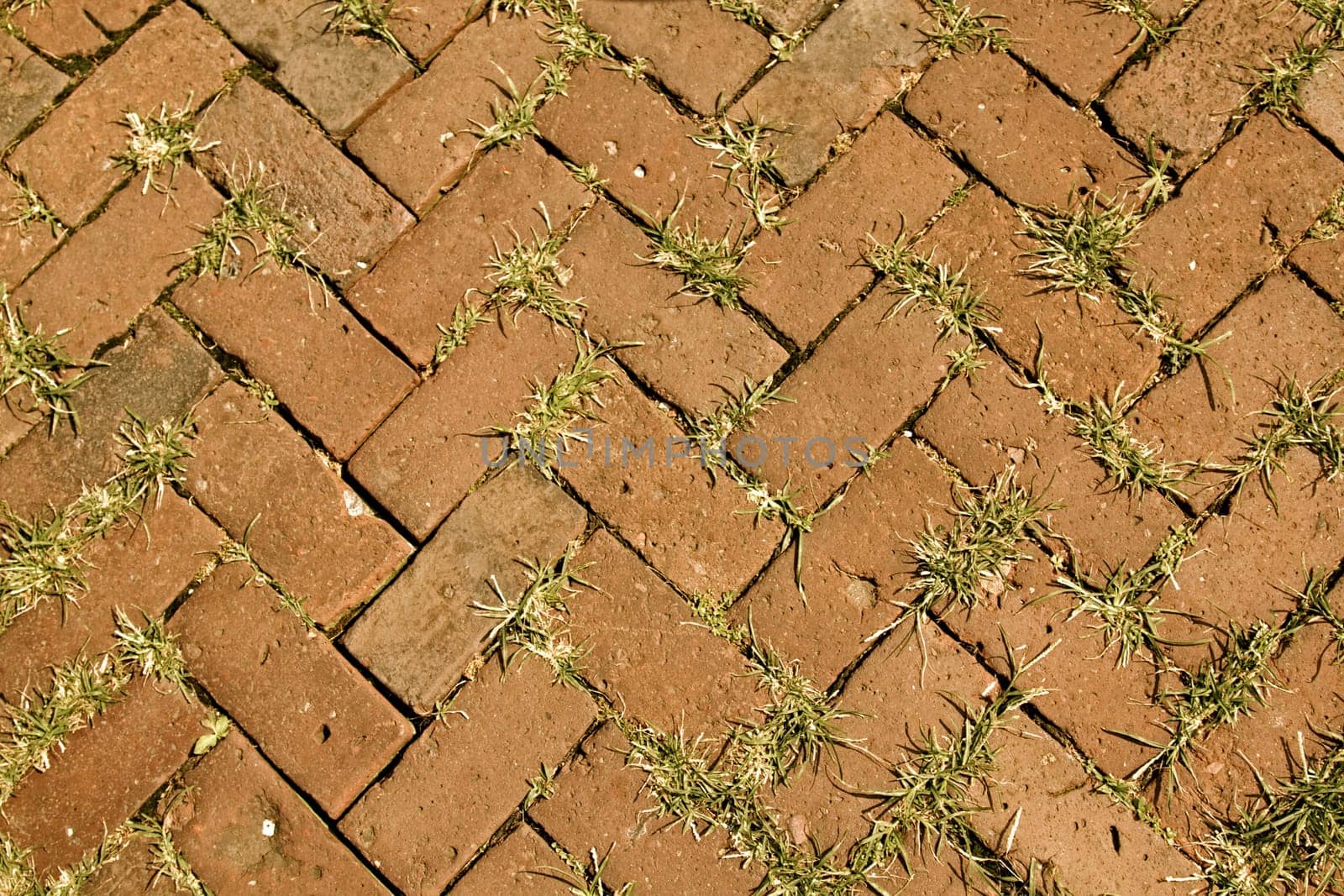 The dirty texture of a brick patterned sidewalk