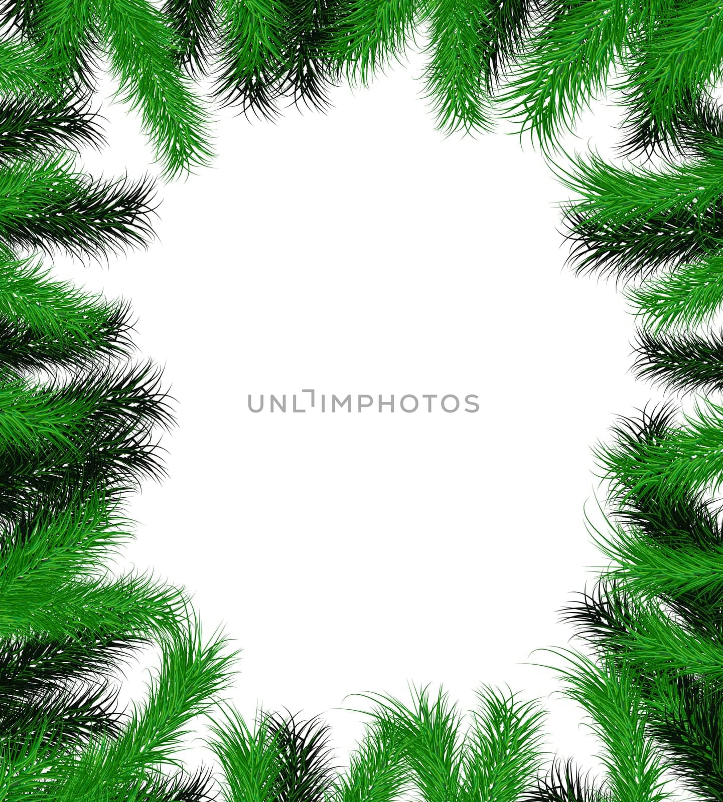 Frame from Christmas tree branch for decorate on background