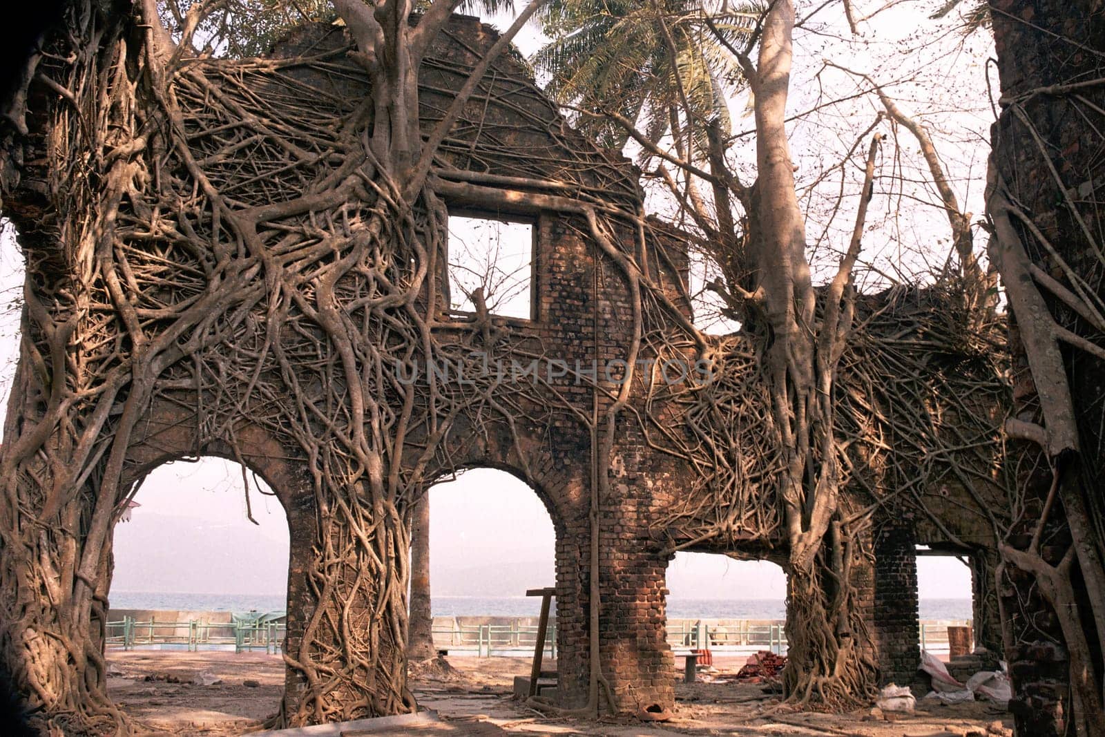 Ruin of abandoned building covered with roots in Ross Island, Port Blair, Andaman, India, Asia