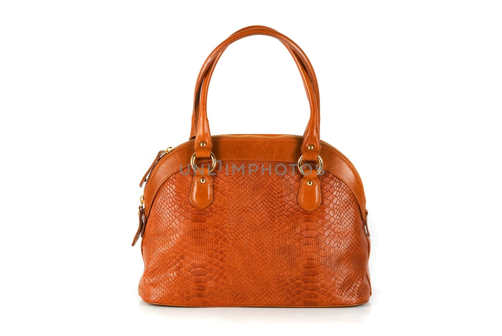 brown women bag, fashion of 2011 year isolated on white background