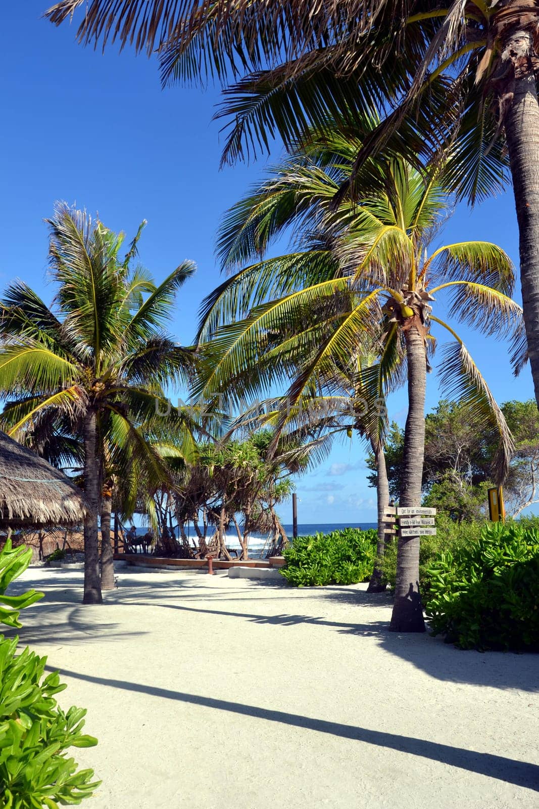 Maldives